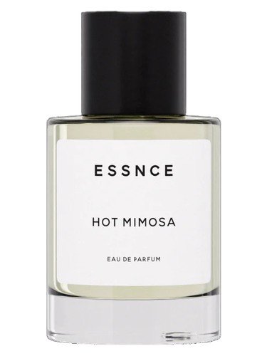 Hot Mimosa