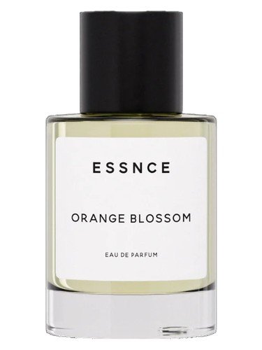 Orange Blossom