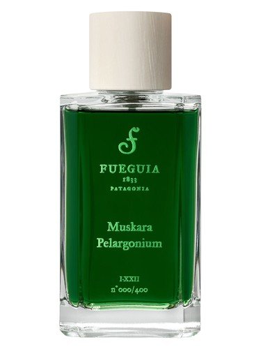 Muskara Pelargonium
