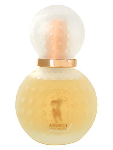 Anucci Femme
