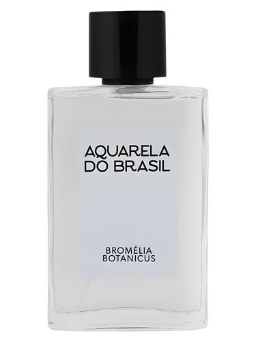 Bromélia Botanicus