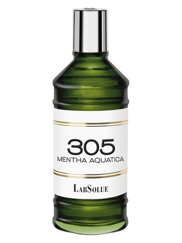305 Mentha Aquatica