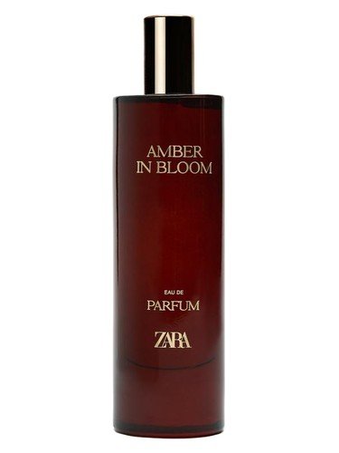 Amber In Bloom