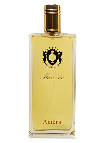 Ambra