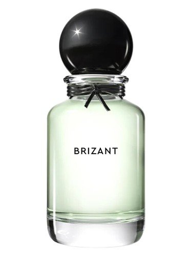 Brizant