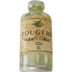 Fougère Fern