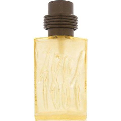 Amber Cerruti 2002 Eau de Toilette