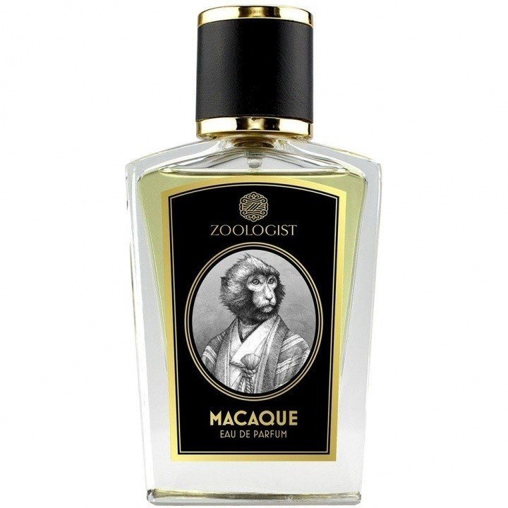 Macaque