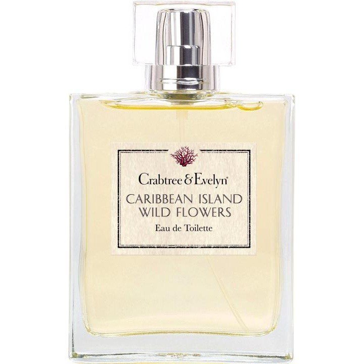 Caribbean Island Wild Flowers India Hicks Island Living – Spider Lily