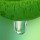 Green Accord