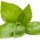 African basil