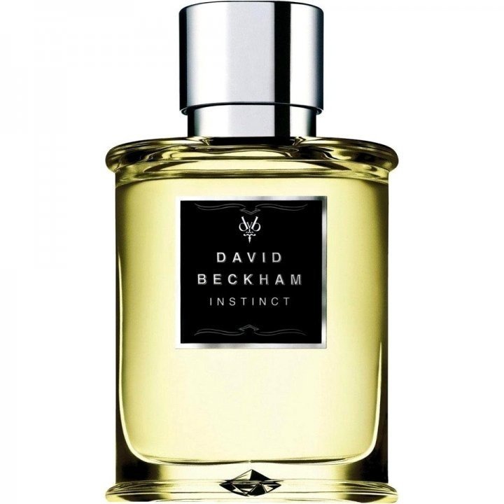 Instinct David Beckham 2005 Eau de Toilette