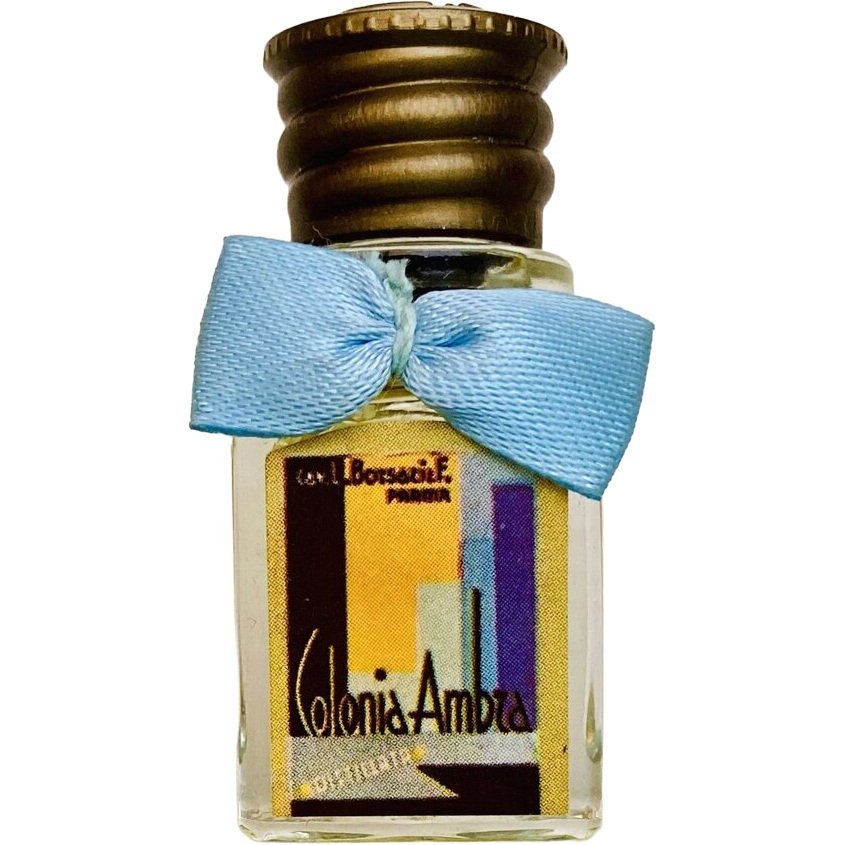 Colonia Ambra