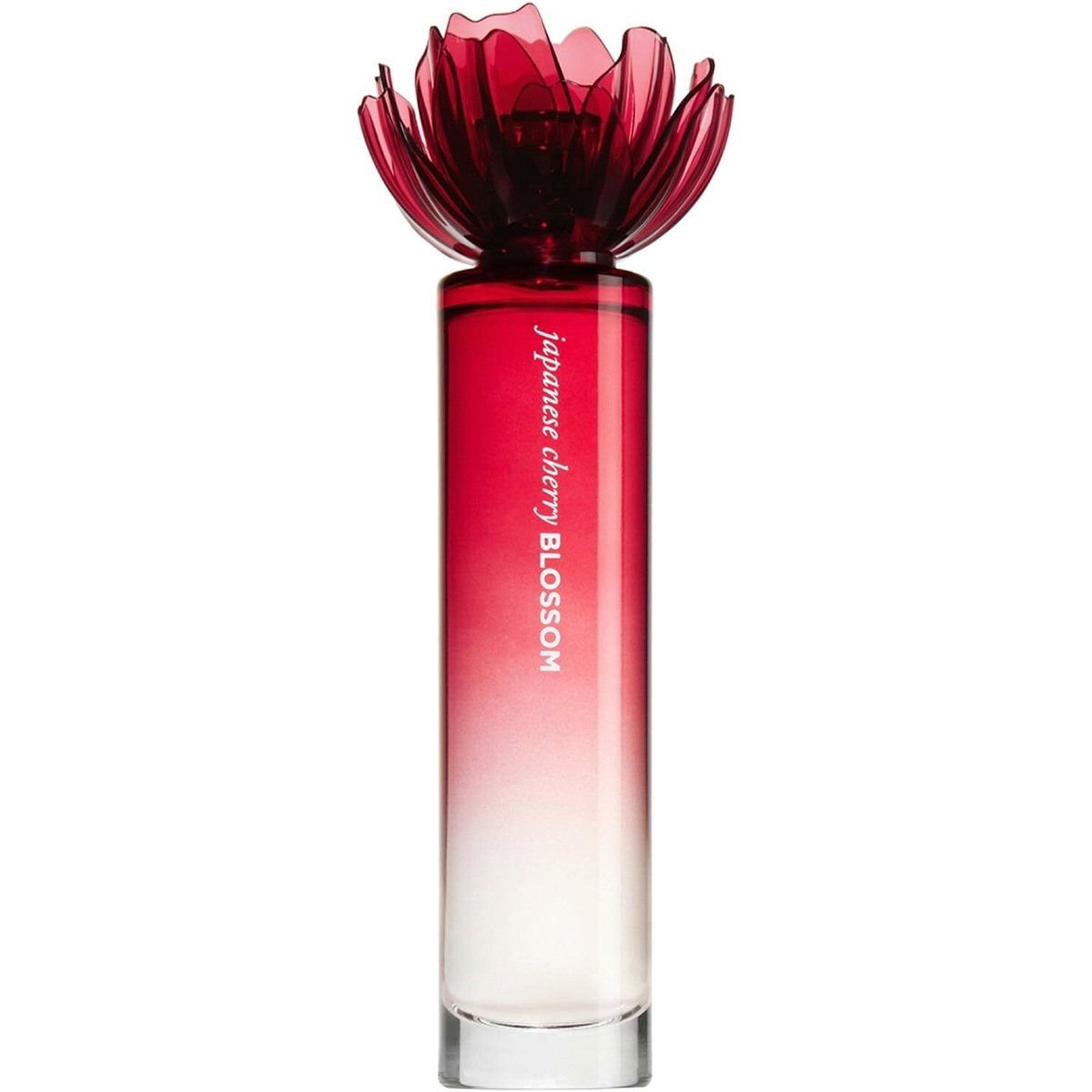 Japanese Cherry Blossom Bath & Body Works 2007 Eau de Toilette