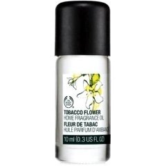 Tobacco Flower Fleur de Tabac