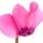 Cyclamen aldehyde