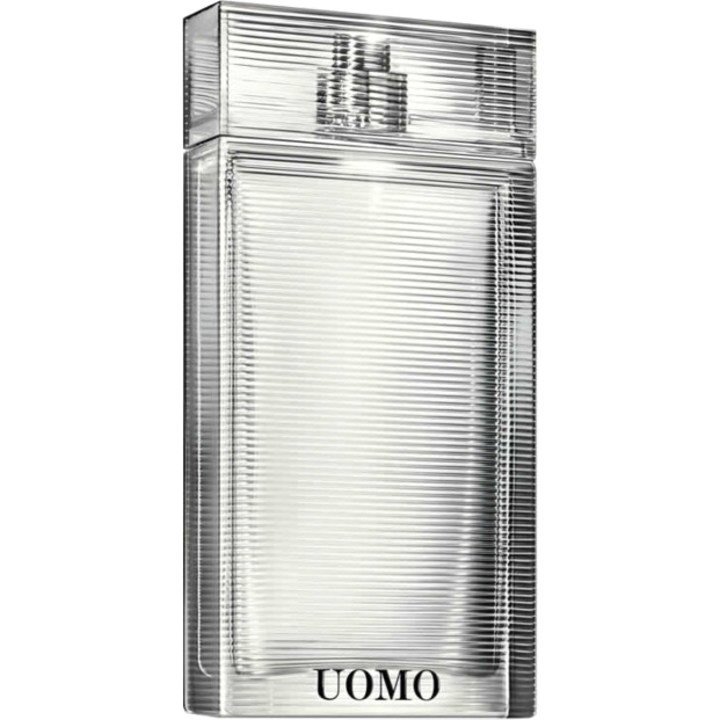 Uomo Ermenegildo Zegna 2013 Eau de Toilette