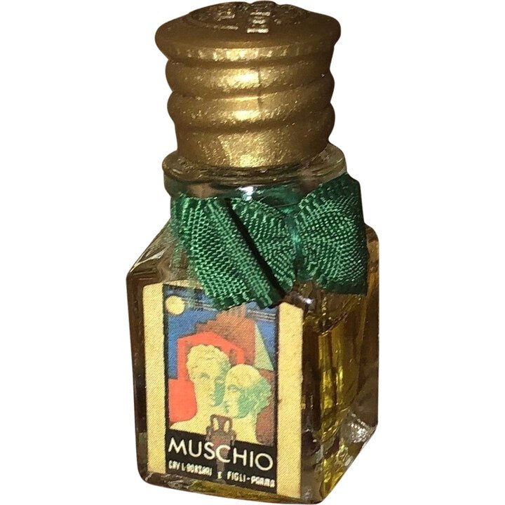 Muschio