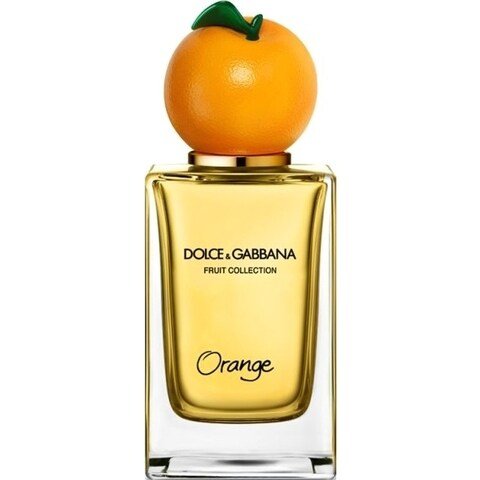 Fruit Collection – Orange