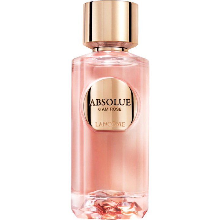 Absolue – 6AM Rose