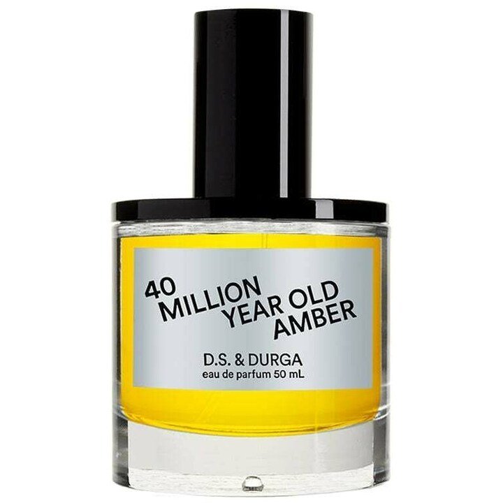 Million Year Old Amber