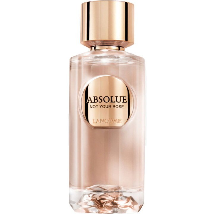 Absolue – Not Your Rose