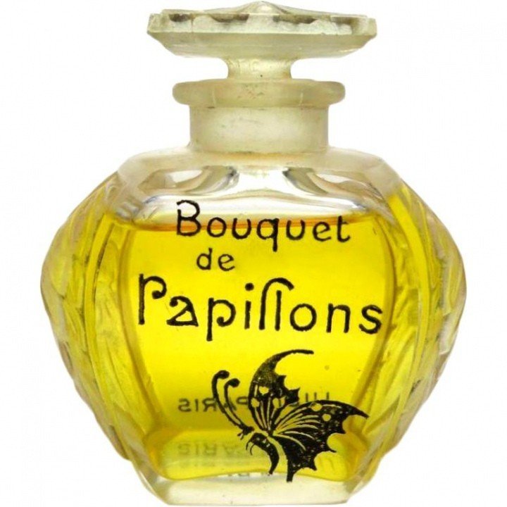 Bouquet de Papillons