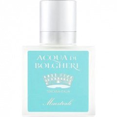 Acqua di Bolgheri – Maestrale