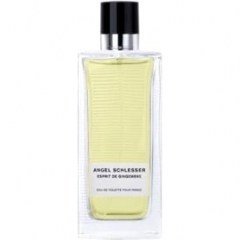 Sélection de Mémoires – Esprit de Gingembre pour Femme